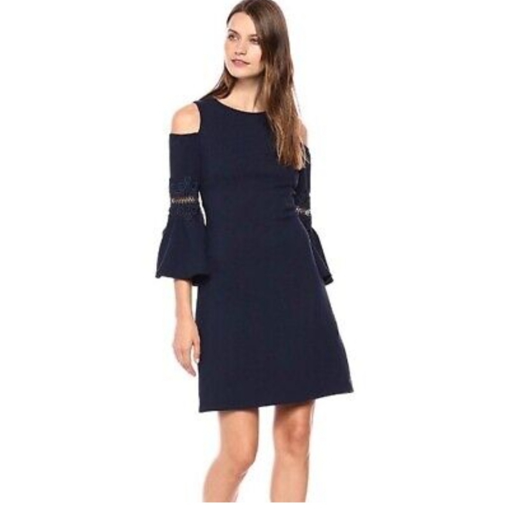 Eliza J Coral Gables Sleeveless Shift Dress with Embroidery